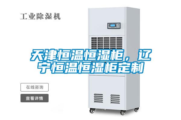天津恒溫恒濕柜，遼寧恒溫恒濕柜定制