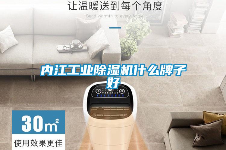 內江工業(yè)除濕機什么牌子好