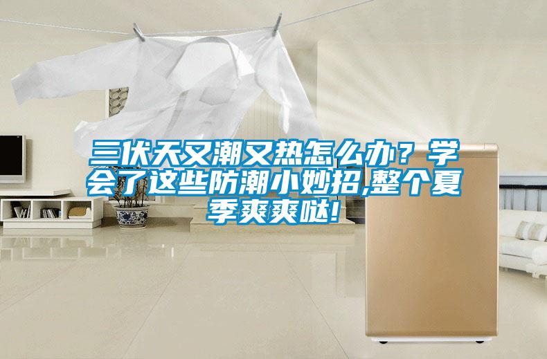 三伏天又潮又熱怎么辦？學(xué)會了這些防潮小妙招,整個(gè)夏季爽爽噠!