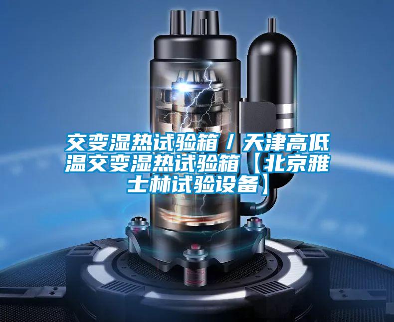 交變濕熱試驗箱/天津高低溫交變濕熱試驗箱【北京雅士林試驗設(shè)備】