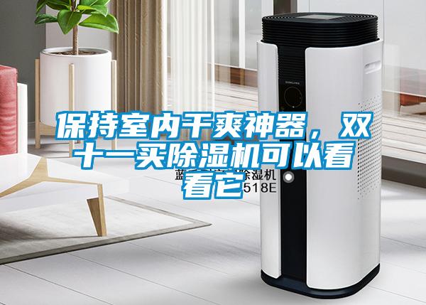 保持室內干爽神器，雙十一買除濕機可以看看它