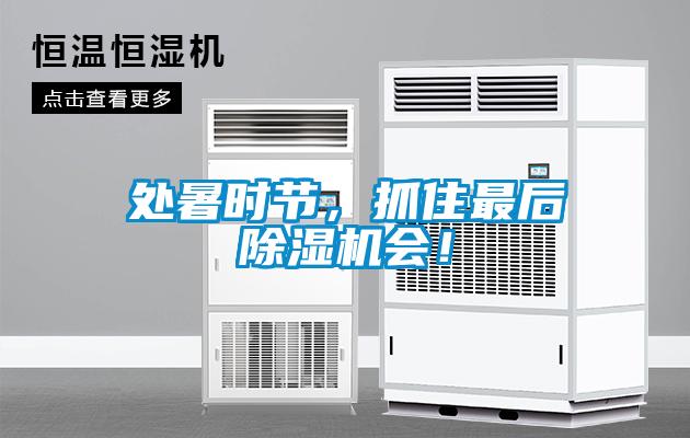 處暑時節，抓住最后除濕機會！