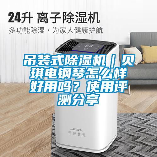 吊裝式除濕機｜貝琪電鋼琴怎么樣好用嗎？使用評測分享