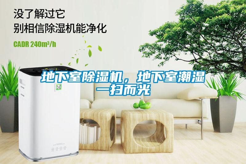 地下室除濕機，地下室潮濕一掃而光