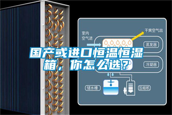 國產或進口恒溫恒濕箱，你怎么選？