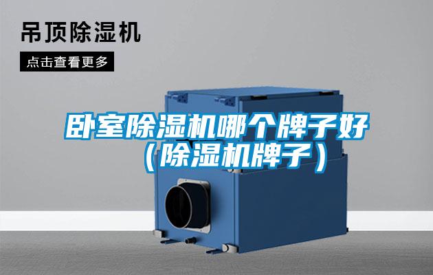 臥室除濕機(jī)哪個牌子好（除濕機(jī)牌子）