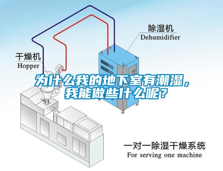 為什么我的地下室有潮濕， 我能做些什么呢？