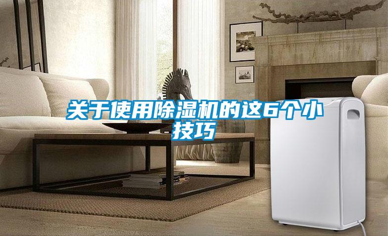 關(guān)于使用除濕機(jī)的這6個小技巧