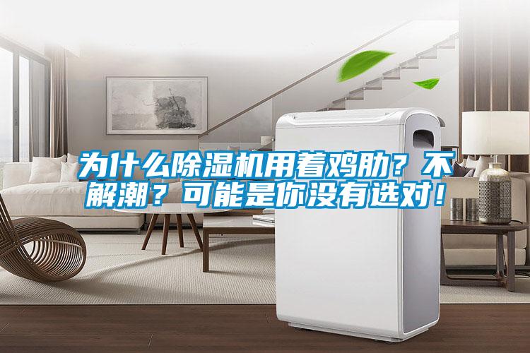 為什么除濕機(jī)用著雞肋？不解潮？可能是你沒有選對！