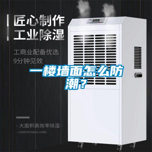 一樓墻面怎么防潮？