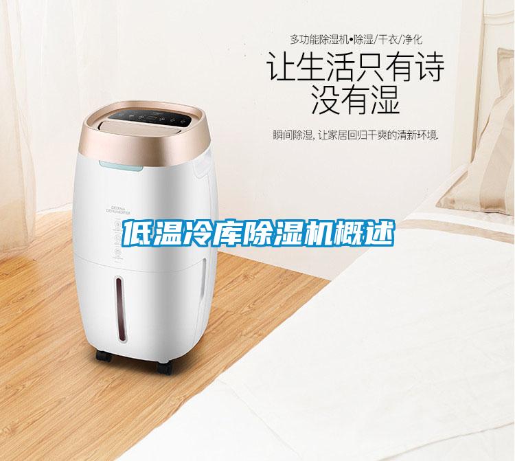 低溫冷庫除濕機(jī)概述