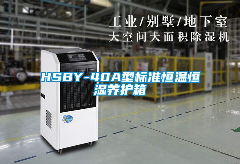 HSBY-40A型標(biāo)準(zhǔn)恒溫恒濕養(yǎng)護箱