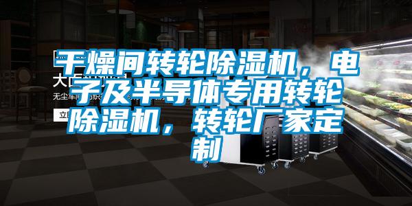 干燥間轉(zhuǎn)輪除濕機，電子及半導(dǎo)體專用轉(zhuǎn)輪除濕機，轉(zhuǎn)輪廠家定制