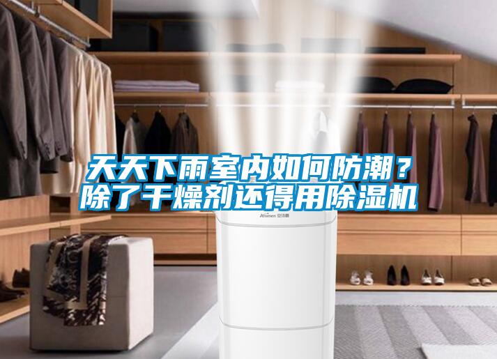 天天下雨室內(nèi)如何防潮？除了干燥劑還得用除濕機