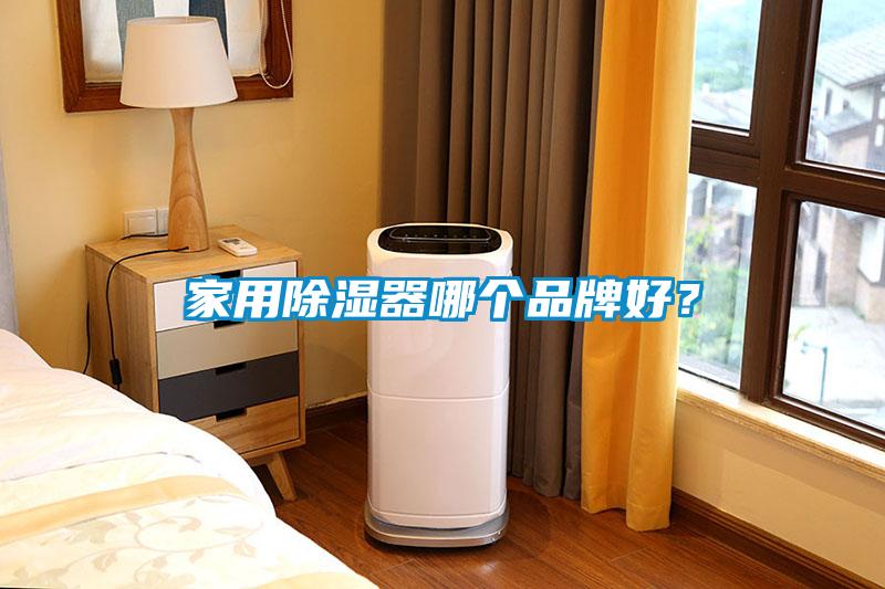家用除濕器哪個品牌好?
