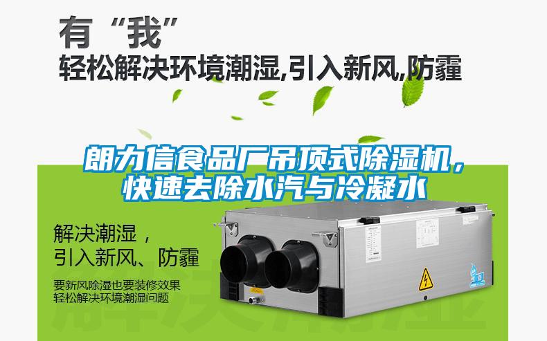 朗力信食品廠吊頂式除濕機，快速去除水汽與冷凝水