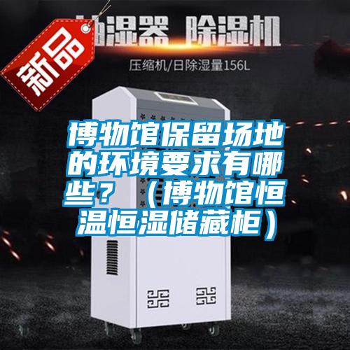 博物館保留場地的環(huán)境要求有哪些？（博物館恒溫恒濕儲藏柜）