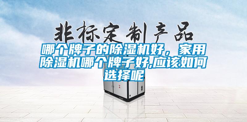 哪個牌子的除濕機(jī)好，家用除濕機(jī)哪個牌子好,應(yīng)該如何選擇呢
