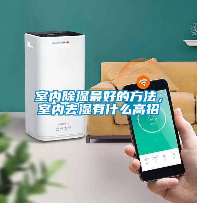 室內除濕最好的方法，室內去濕有什么高招