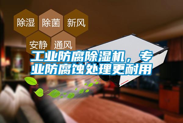 工業防腐除濕機，專業防腐蝕處理更耐用