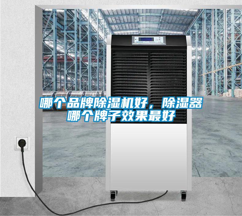 哪個品牌除濕機好，除濕器哪個牌子效果最好