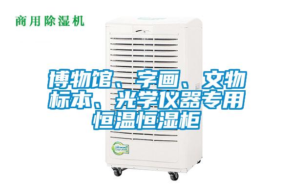 博物館、字畫、文物標(biāo)本、光學(xué)儀器專用恒溫恒濕柜