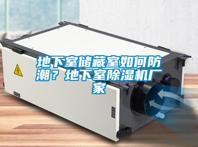 地下室儲(chǔ)藏室如何防潮?地下室除濕機(jī)廠家