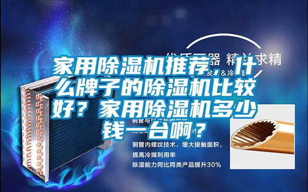 家用除濕機(jī)推薦，什么牌子的除濕機(jī)比較好？家用除濕機(jī)多少錢一臺啊？