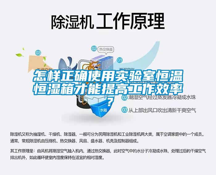 怎樣正確使用實驗室恒溫恒濕箱才能提高工作效率？