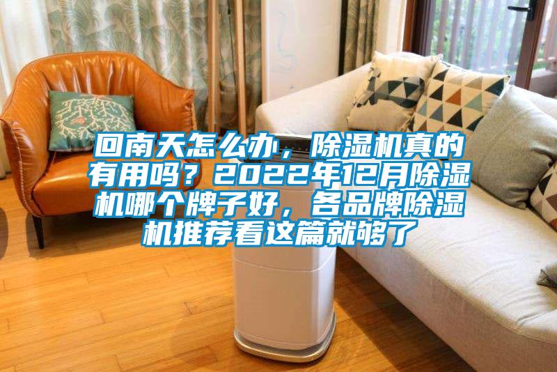 回南天怎么辦，除濕機真的有用嗎？2022年12月除濕機哪個牌子好，各品牌除濕機推薦看這篇就夠了