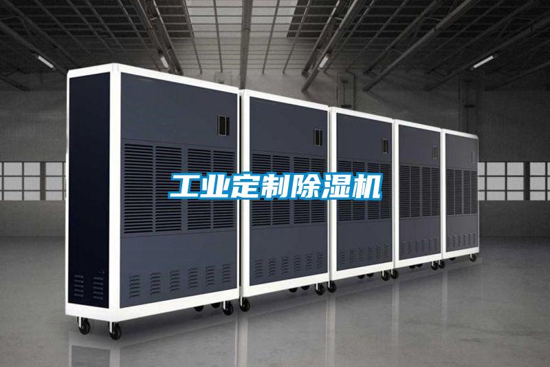 工業定制除濕機