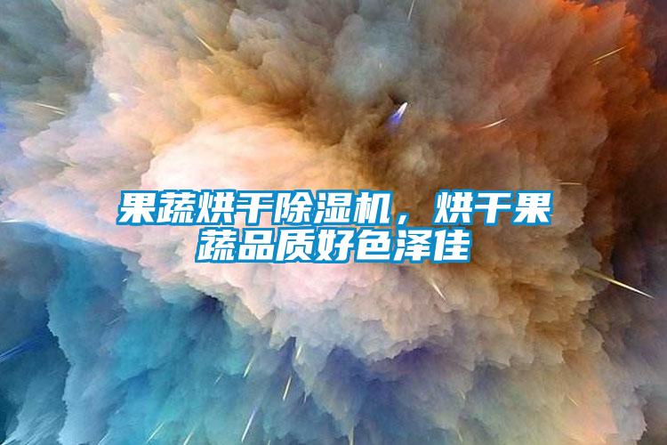 果蔬烘干除濕機，烘干果蔬品質好色澤佳