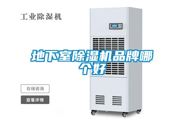 地下室除濕機(jī)品牌哪個(gè)好