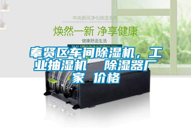 奉賢區(qū)車(chē)間除濕機(jī),工業(yè)抽濕機(jī)  除濕器廠家 價(jià)格