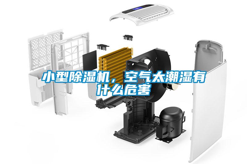 小型除濕機,空氣太潮濕有什么危害