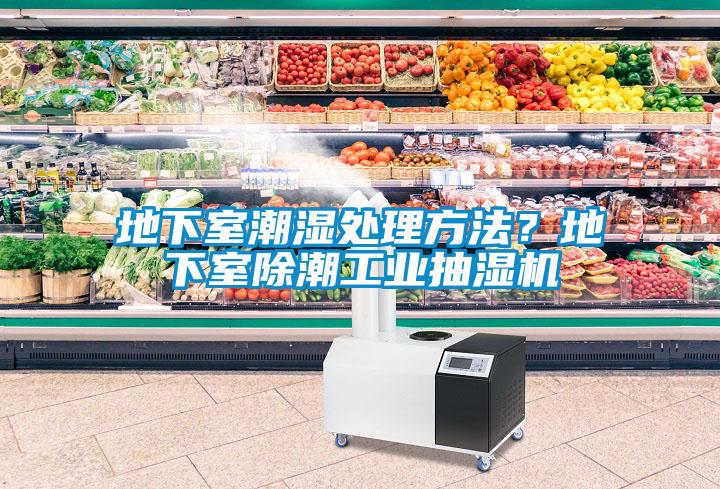 地下室潮濕處理方法？地下室除潮工業抽濕機