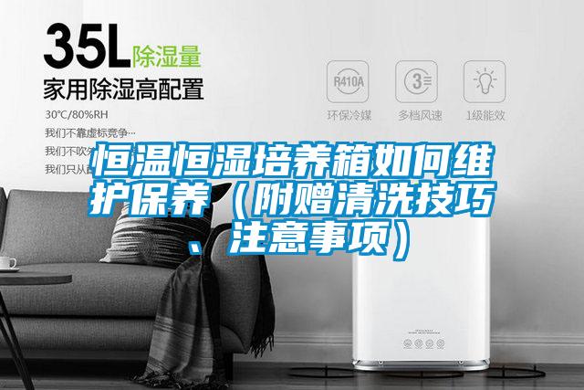 恒溫恒濕培養(yǎng)箱如何維護(hù)保養(yǎng)（附贈(zèng)清洗技巧、注意事項(xiàng)）