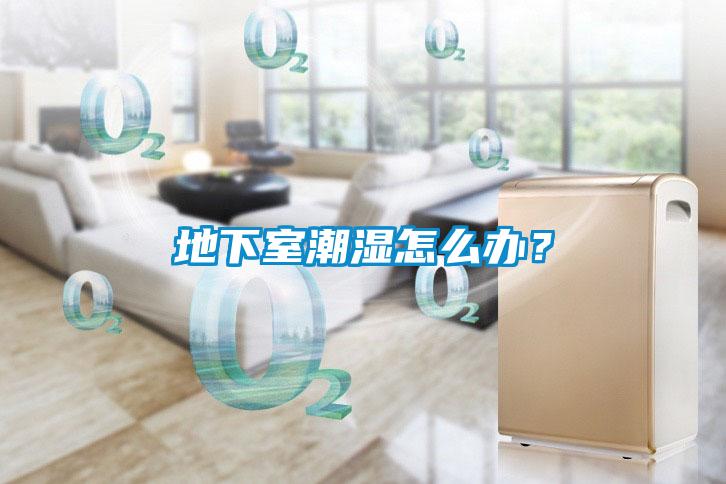 地下室潮濕怎么辦？