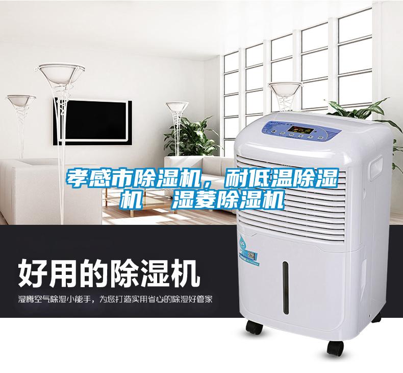 孝感市除濕機，耐低溫除濕機  濕菱除濕機
