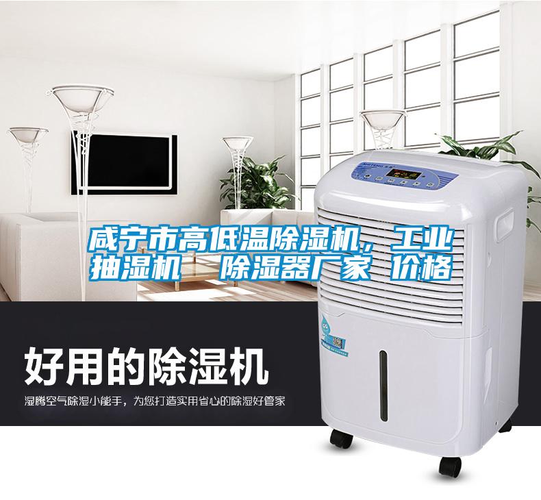 咸寧市高低溫除濕機，工業(yè)抽濕機  除濕器廠家 價格