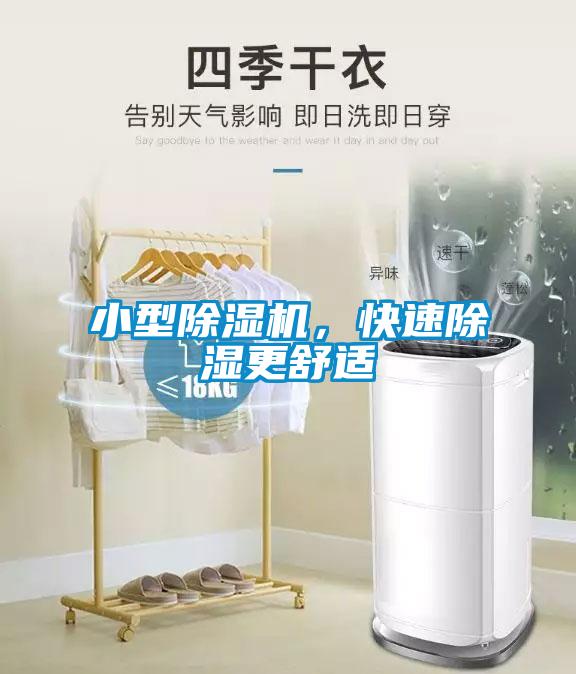 小型除濕機,快速除濕更舒適