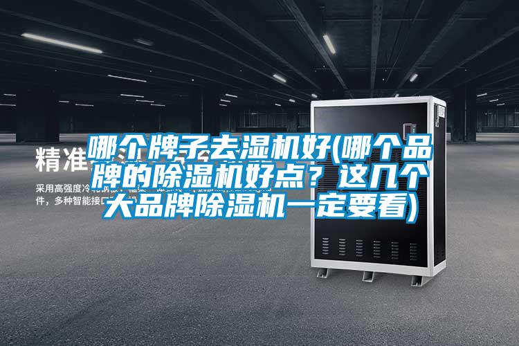 哪個牌子去濕機好(哪個品牌的除濕機好點？這幾個大品牌除濕機一定要看)