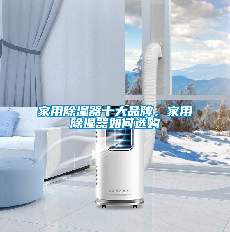 家用除濕器十大品牌,家用除濕器如何選購(gòu)