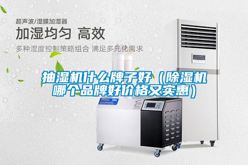 抽濕機(jī)什么牌子好（除濕機(jī)哪個品牌好價格又實(shí)惠）