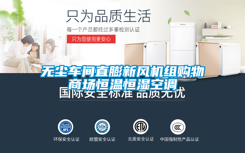 無塵車間直膨新風(fēng)機(jī)組購物商場恒溫恒濕空調(diào)