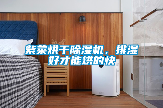 紫菜烘干除濕機，排濕好才能烘的快