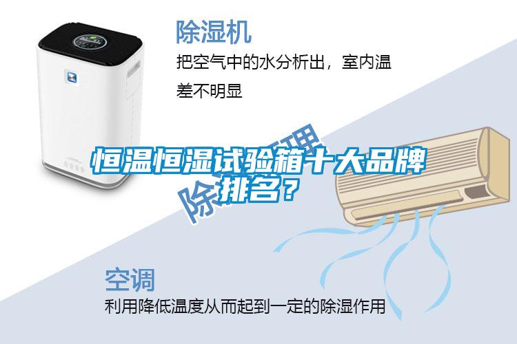 恒溫恒濕試驗箱十大品牌排名？