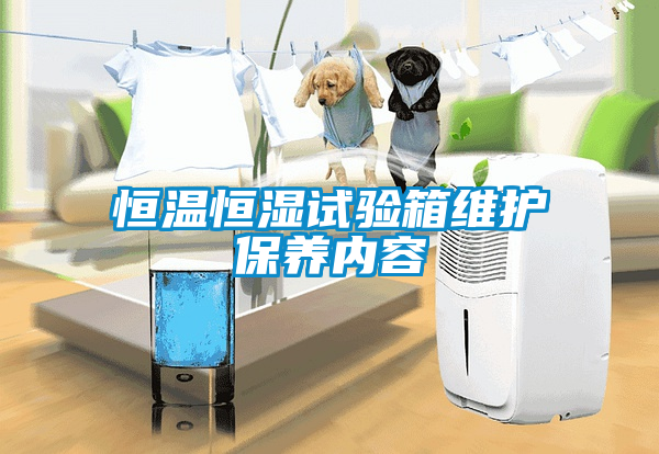 恒溫恒濕試驗箱維護保養(yǎng)內容