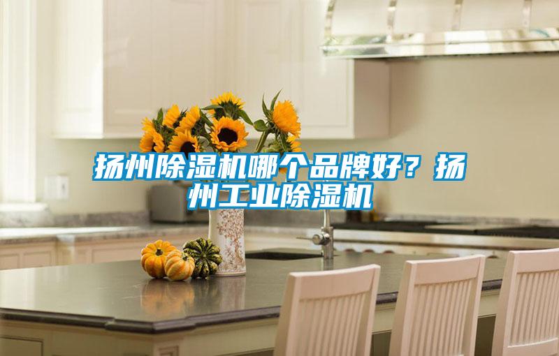 揚州除濕機哪個品牌好？揚州工業除濕機
