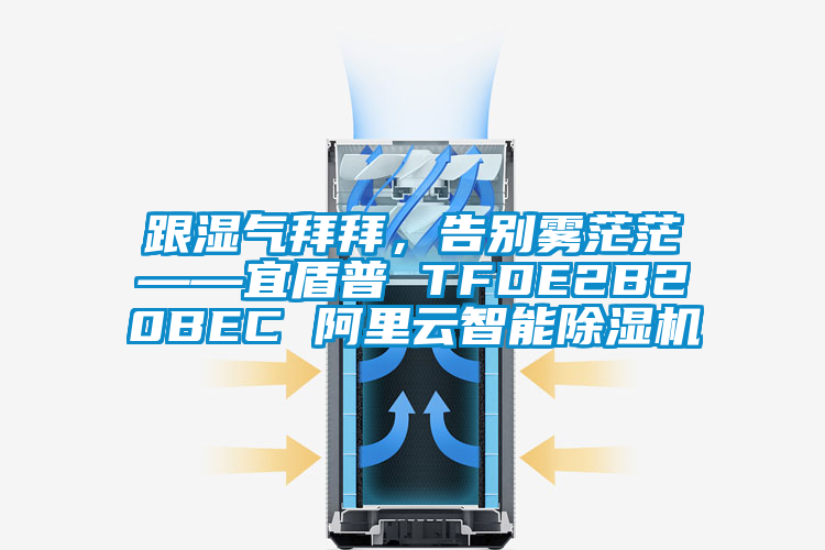 跟濕氣拜拜，告別霧茫茫——宜盾普 TFDE2B20BEC 阿里云智能除濕機(jī)